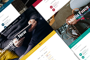 Solace - Modern phpBB Style
